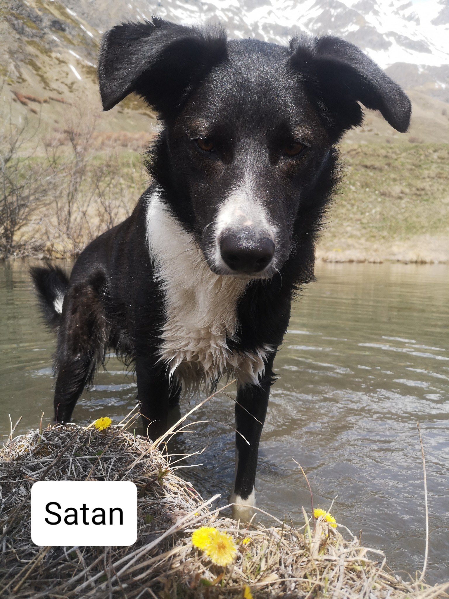 Satan