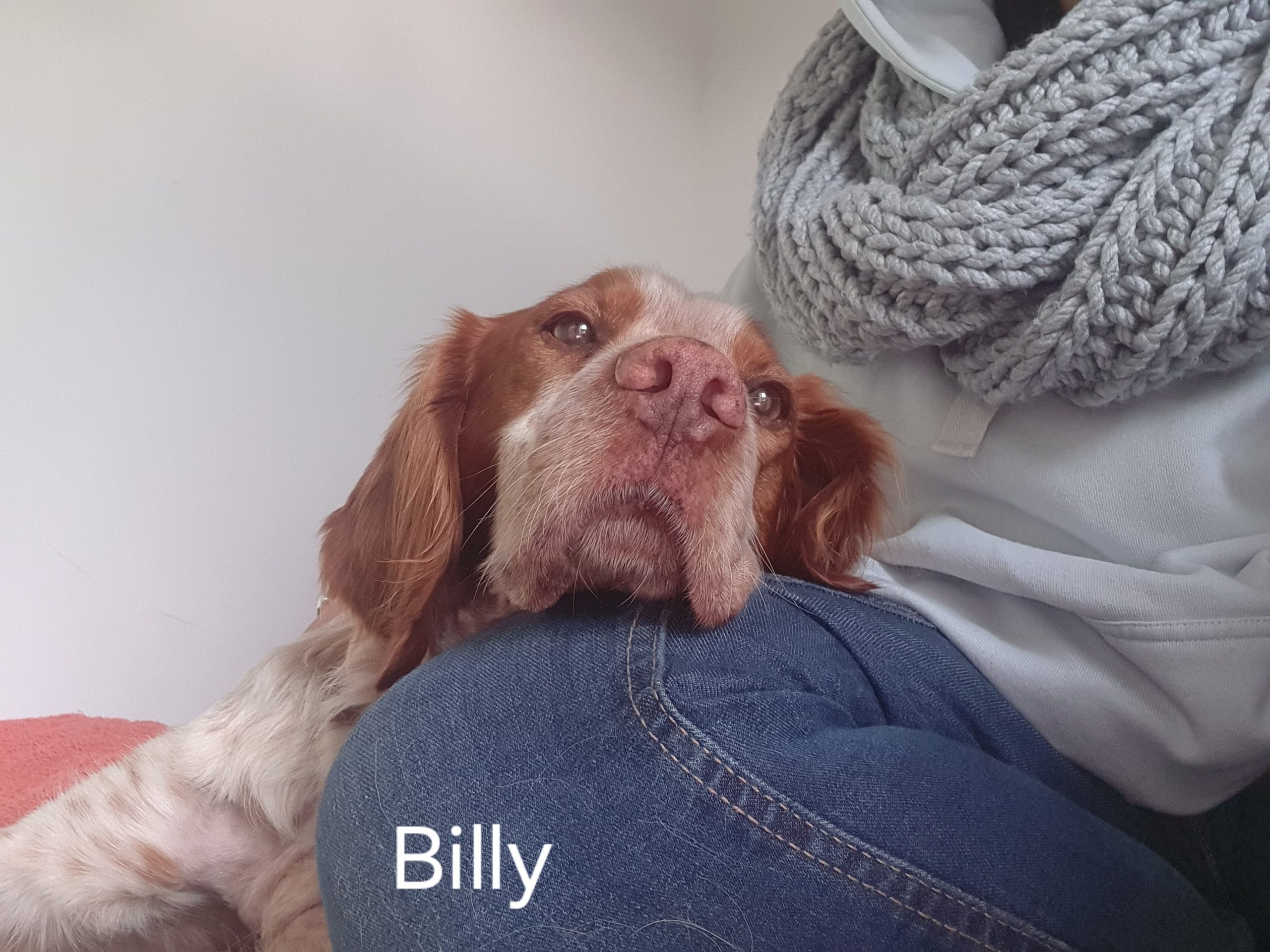 Billy