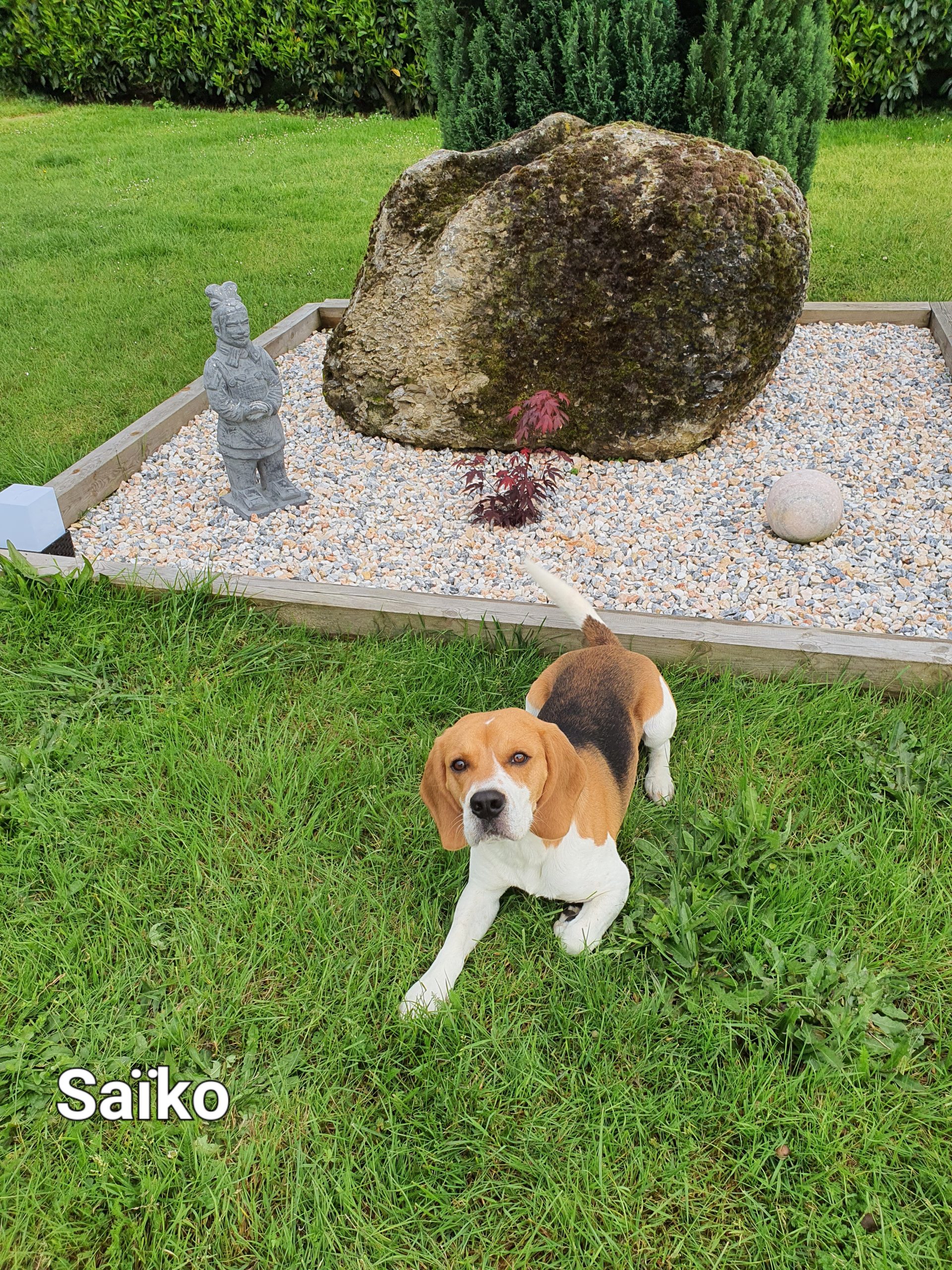 Saïko