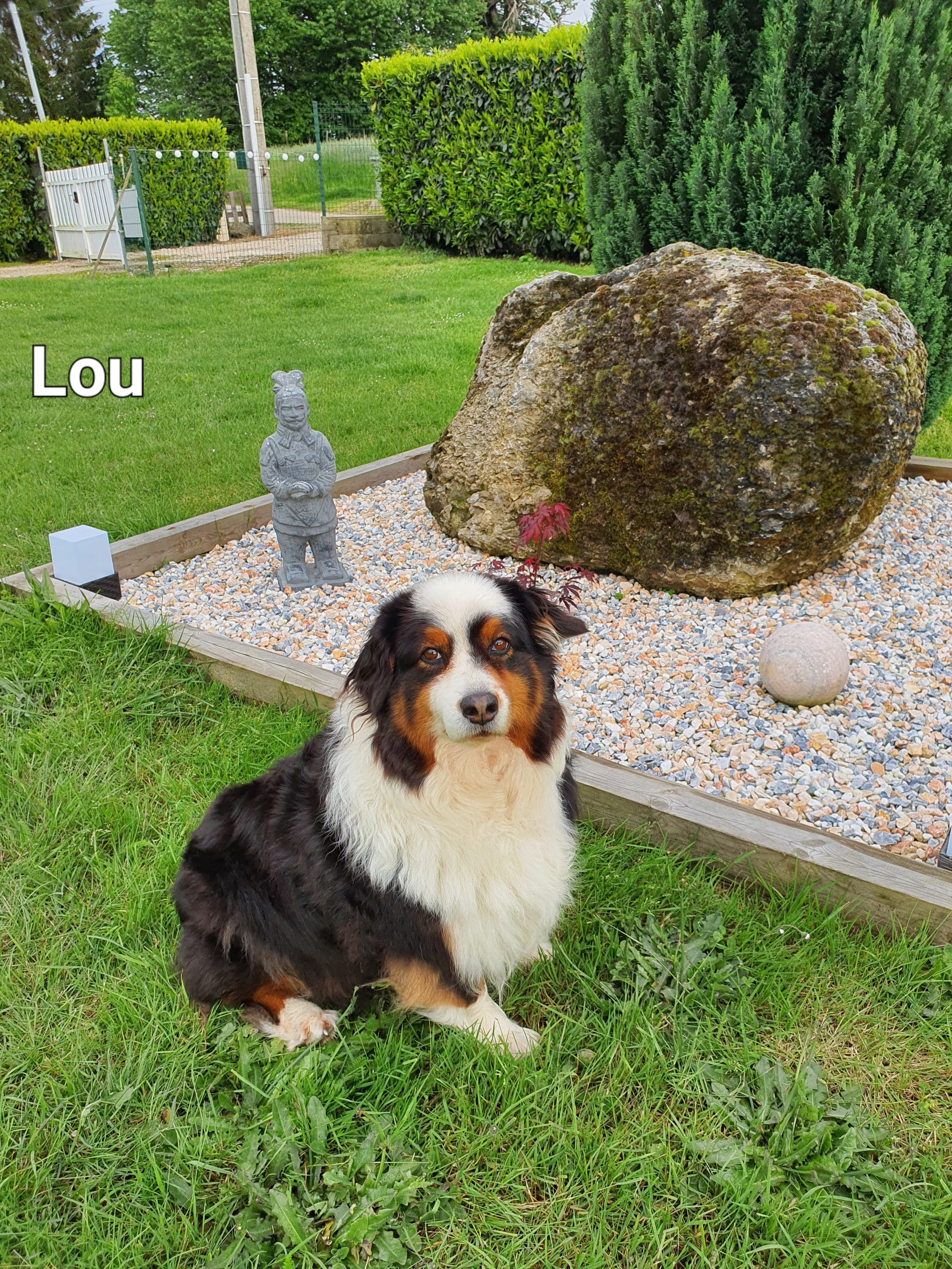 Lou