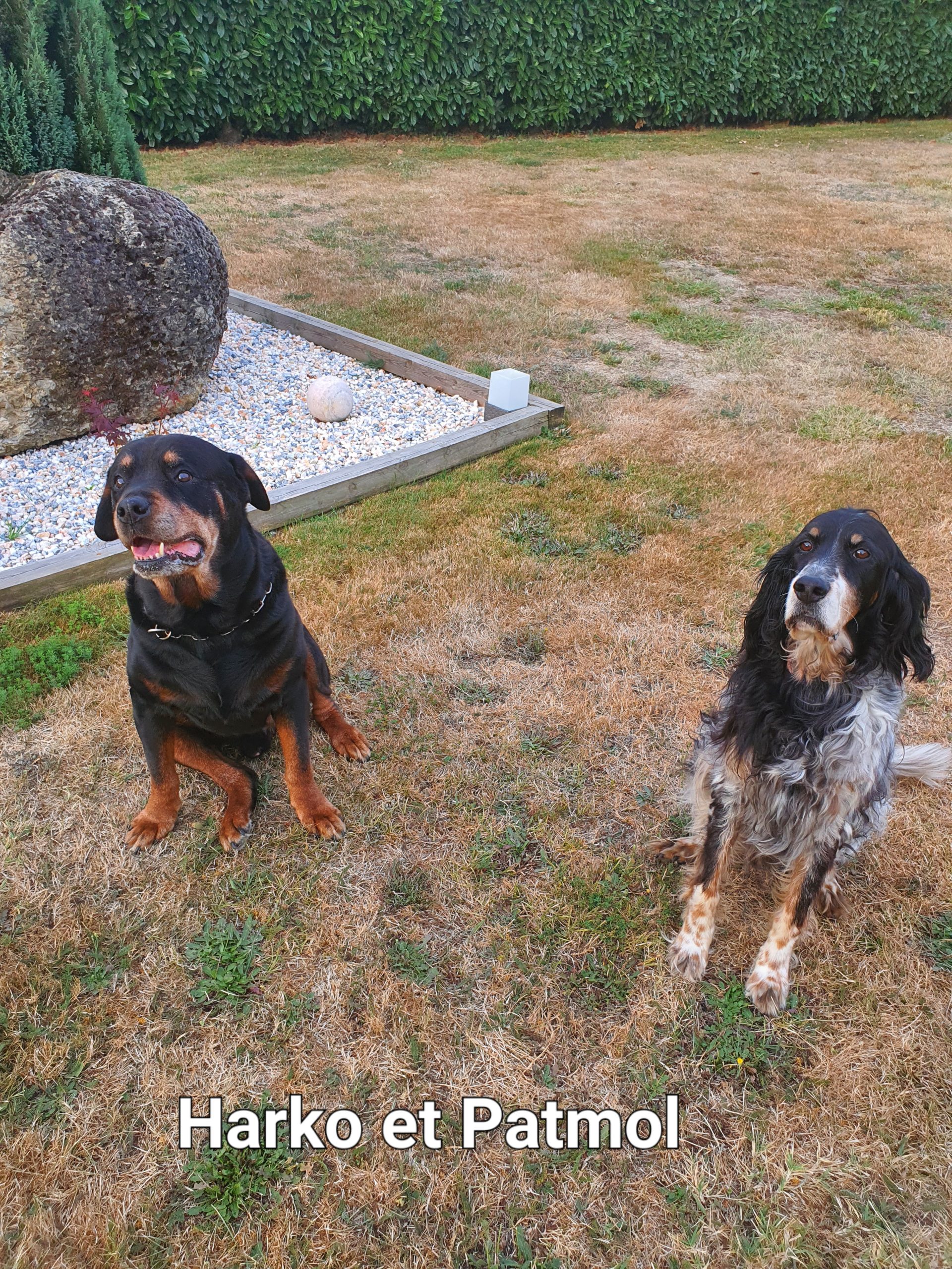 Harko et Patmol