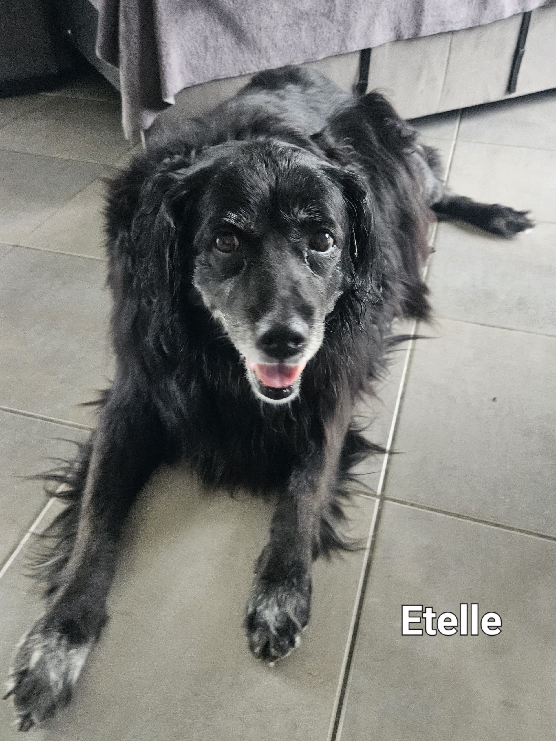 Etelle