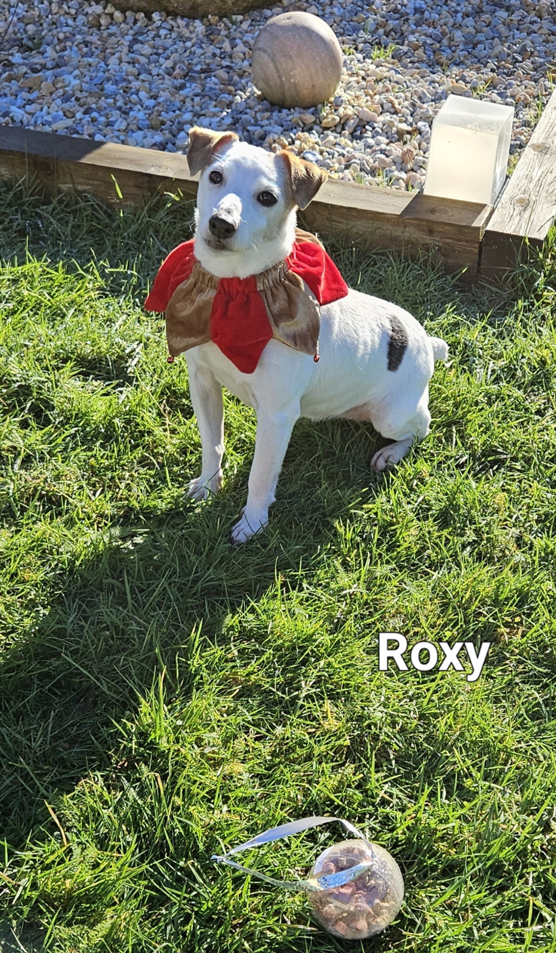 Roxy