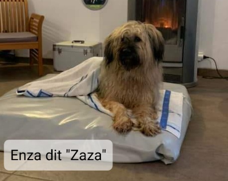 Enza (Zaza)