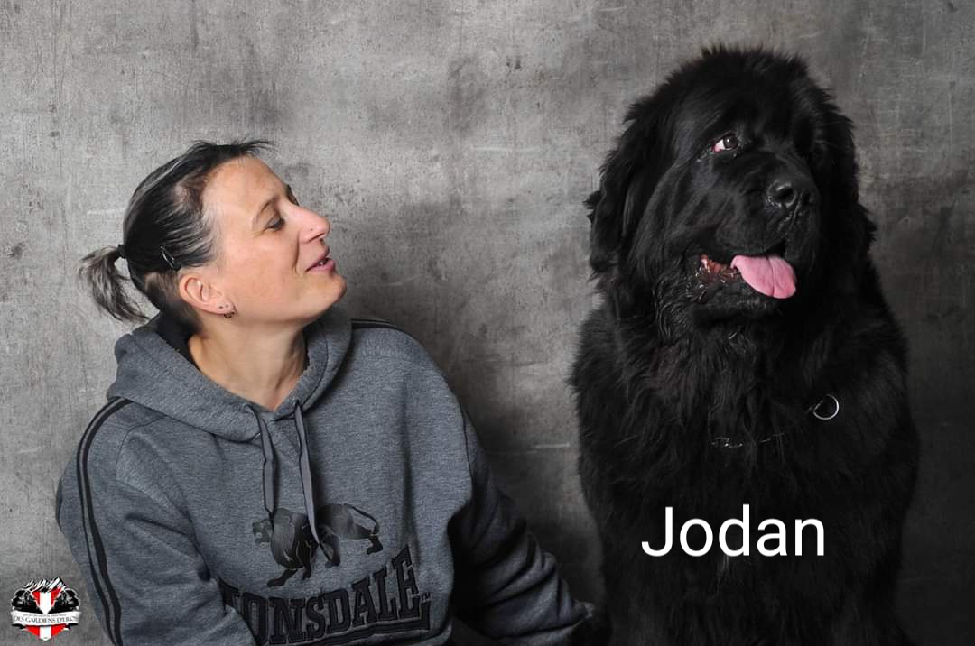 Jodan