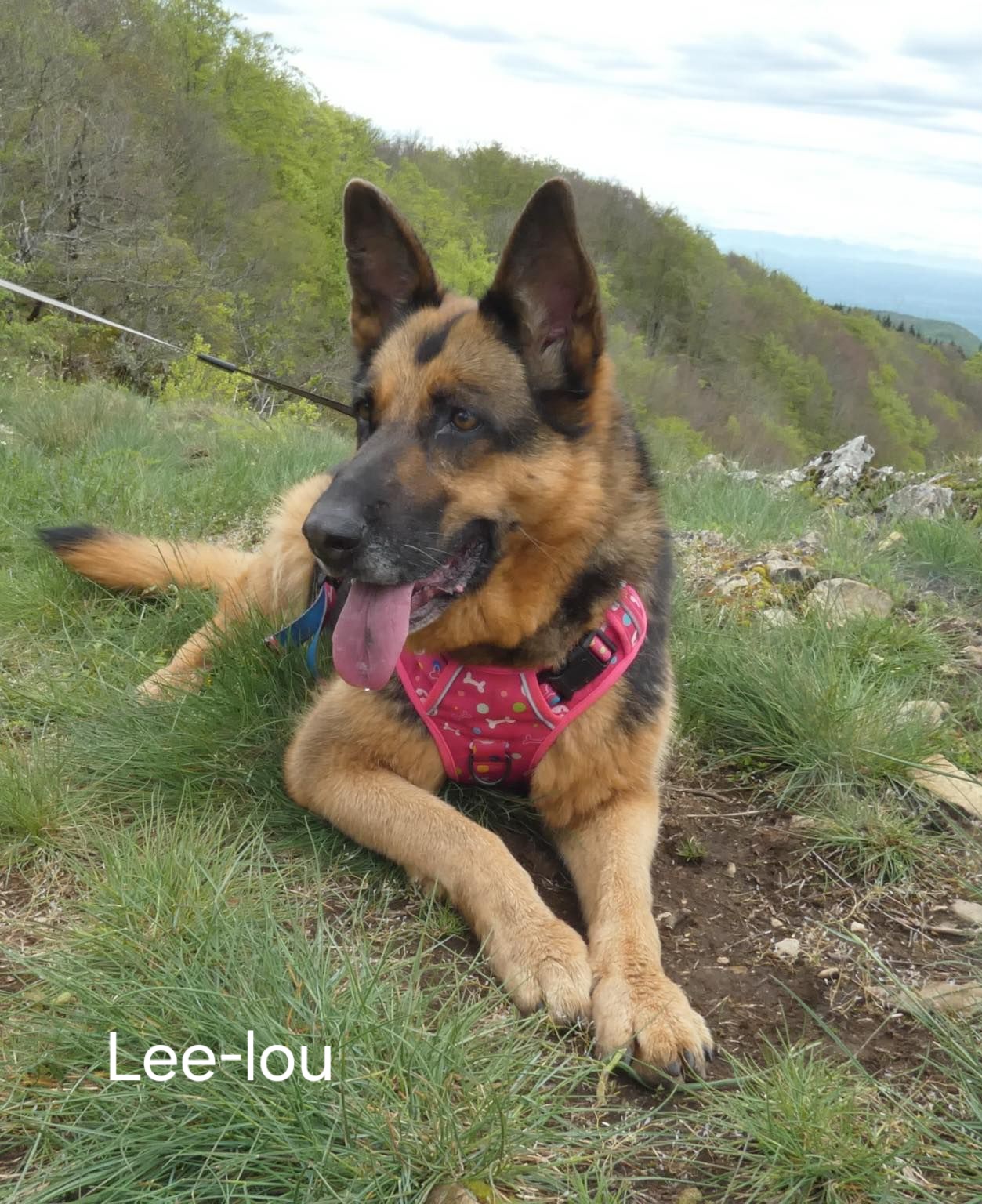 Lee-lou