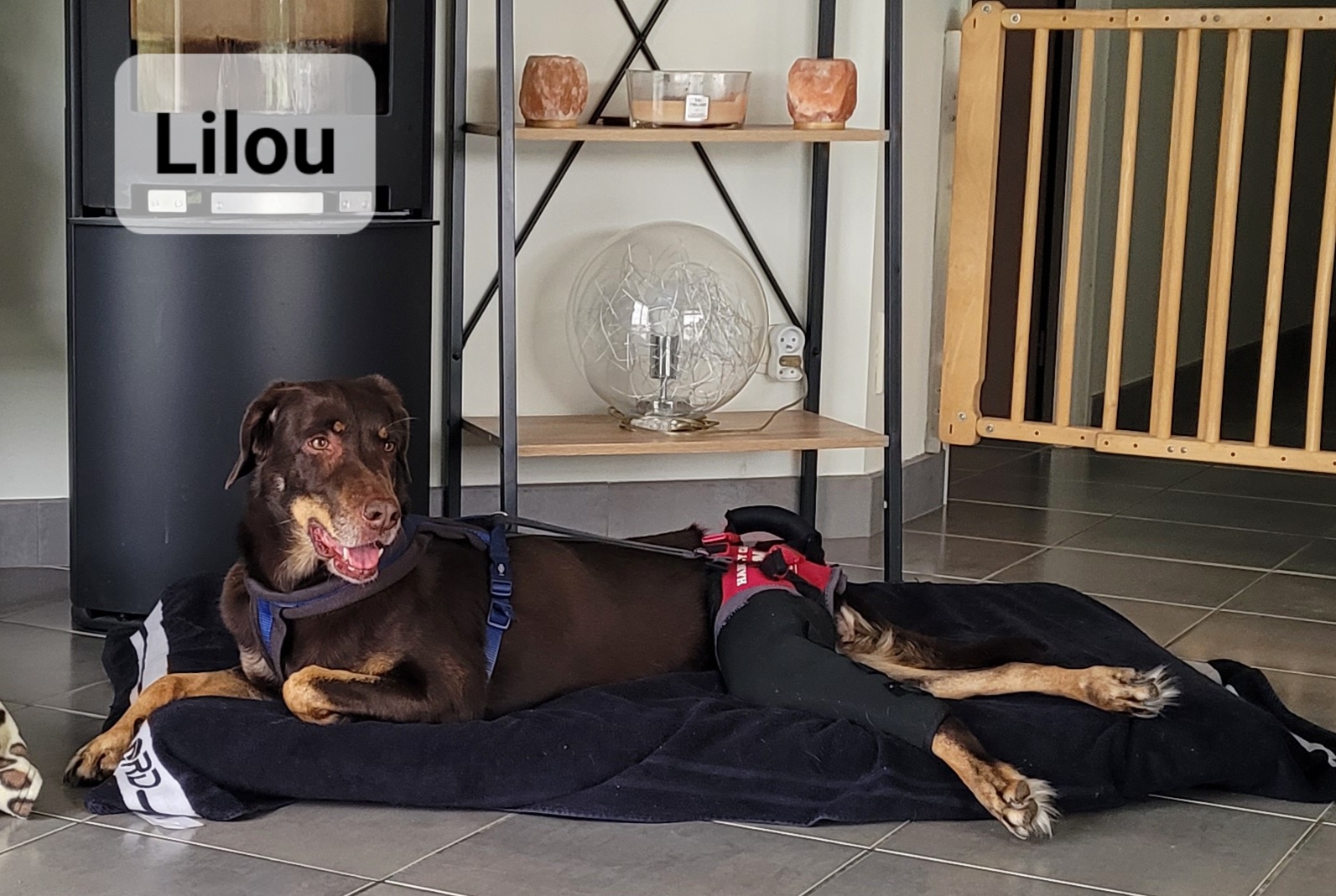 Lilou