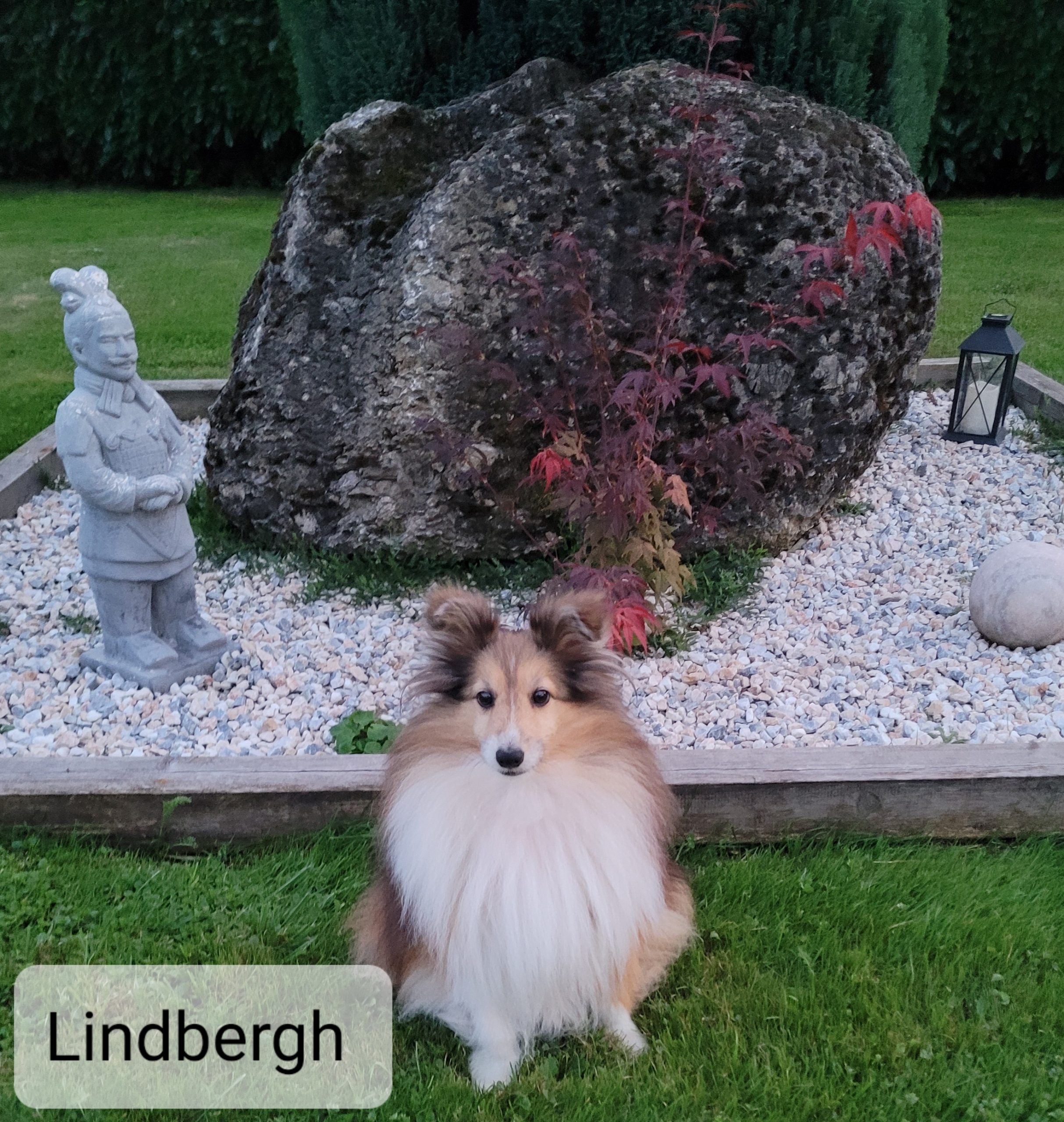 Lindbergh
