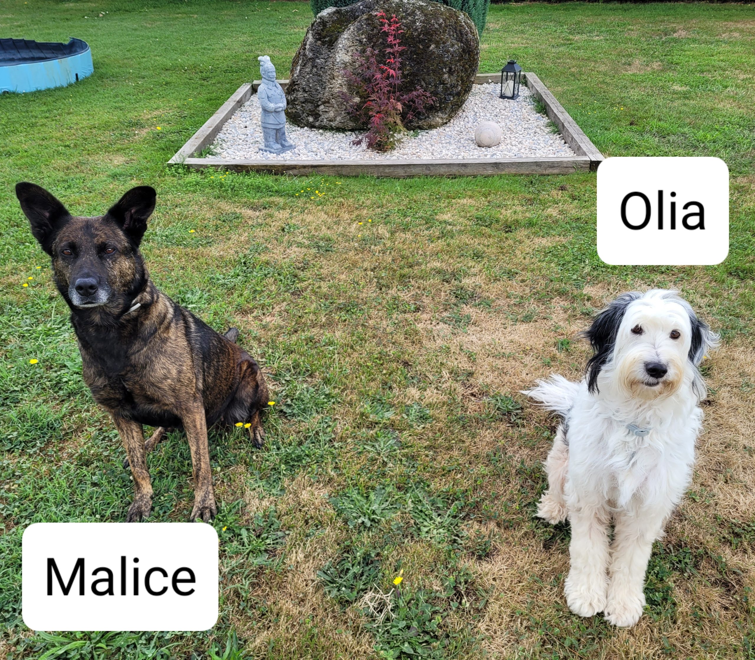 Malice et Olia