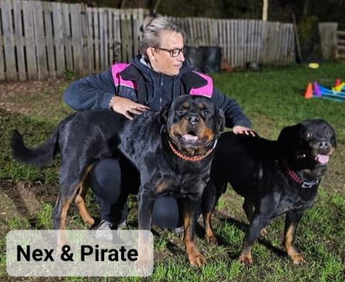 Nex & Pirate