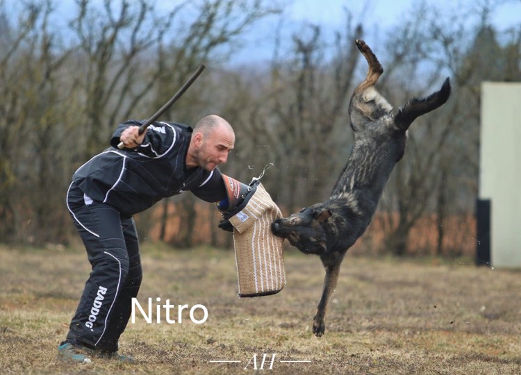 Nitro