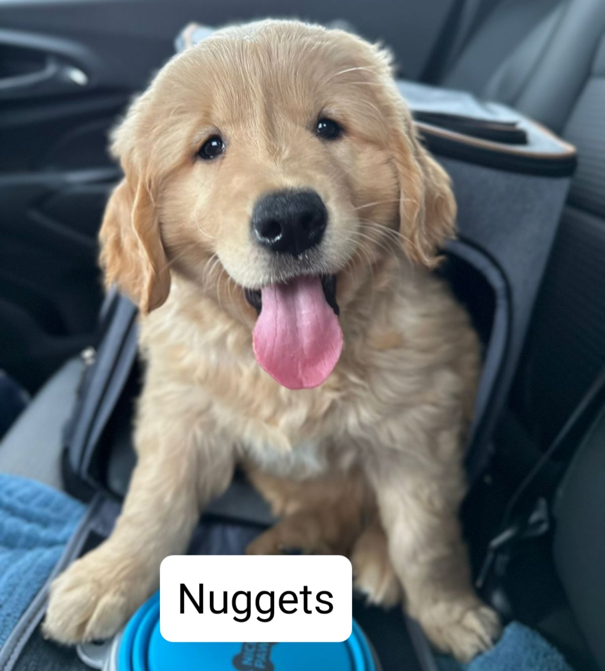 Nuggets