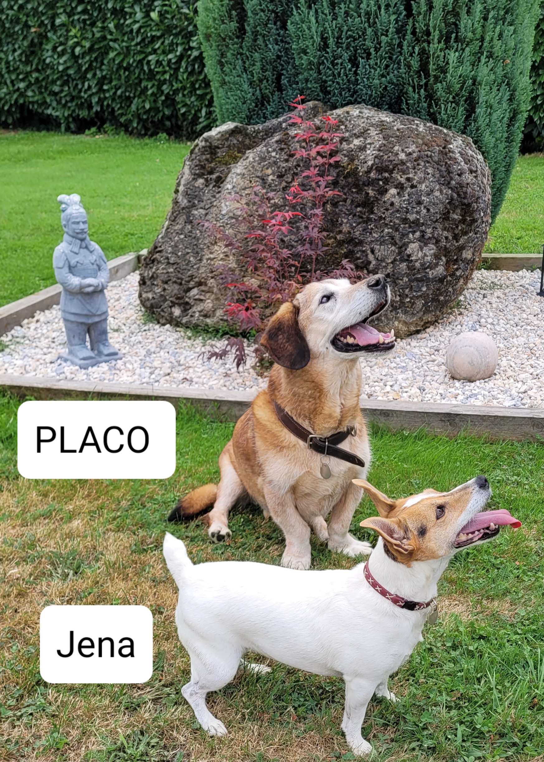 Placo et Jena
