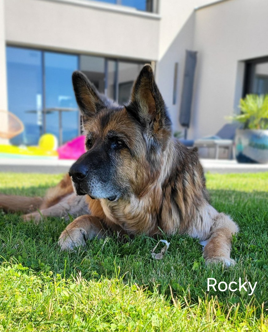 Rocky