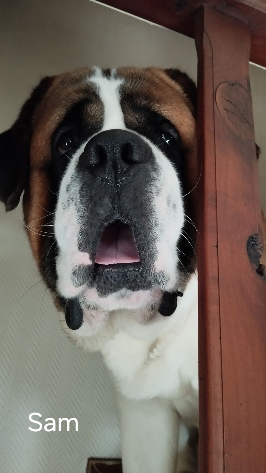 Sam