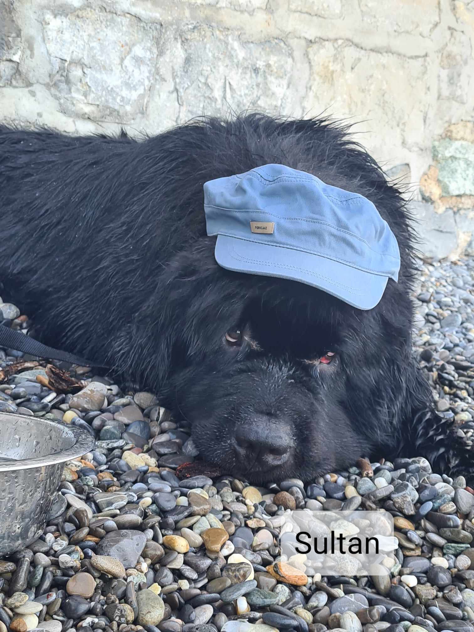 Sultan